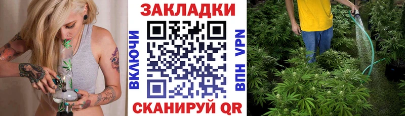 Галлюциногенные грибы Новоуральск