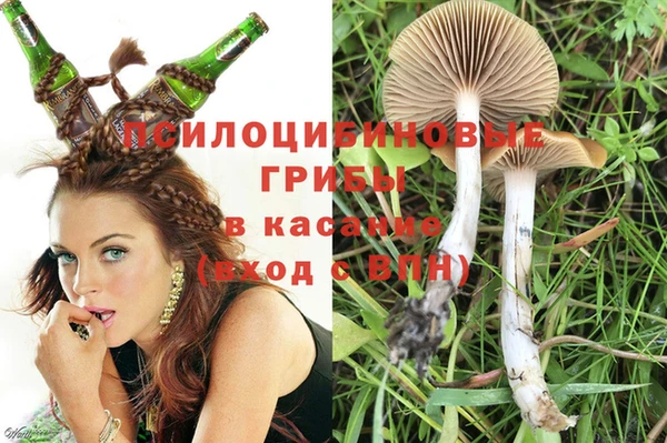 гидропоника Инта