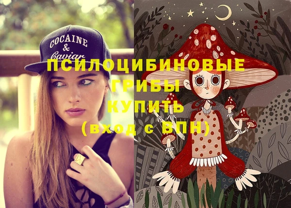 гидропоника Инта