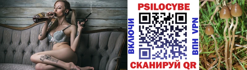 Купить закладки  Новоуральск  Псилоцибиновые грибы Psilocybe 